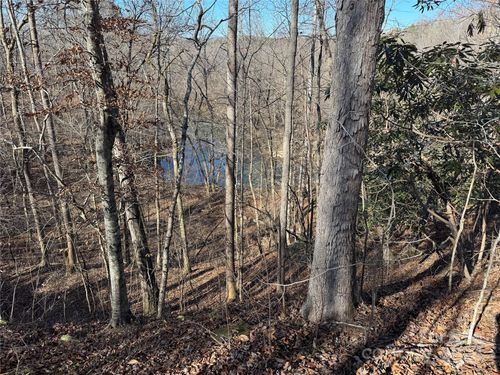 115-0 River Crest Parkway, Rutherfordton, NC, 28139 | Card Image