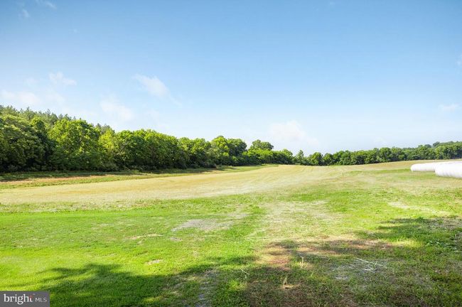 13 Peoney Ln, Home with 0 bedrooms, 0 bathrooms and null parking in BUNKER HILL WV | Image 5
