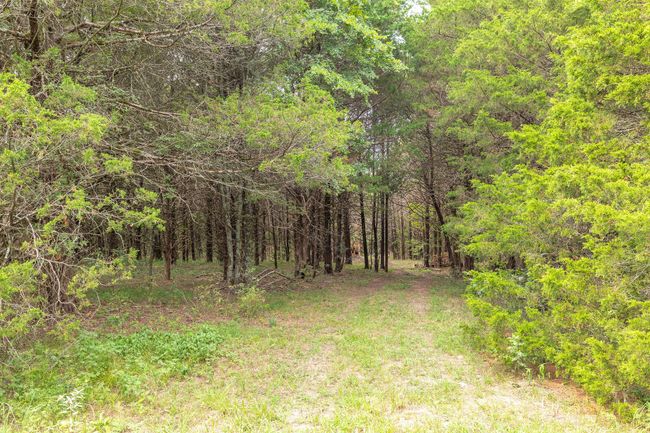 1092QuietAcres-23 | Image 25