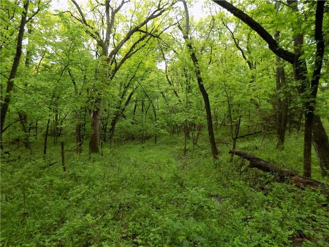 1267 Rock Creek Rd, Home with 0 bedrooms, 0 bathrooms and null parking in Williamsburg KS | Image 27