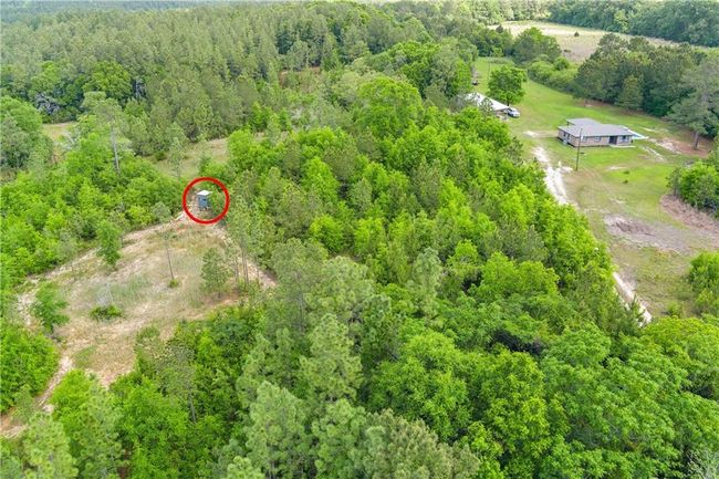 Drone / aerial view with a view of trees | Image 32