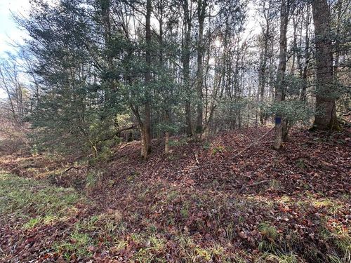 TBD Dickey Rd, Murphy, NC, 28906 | Card Image