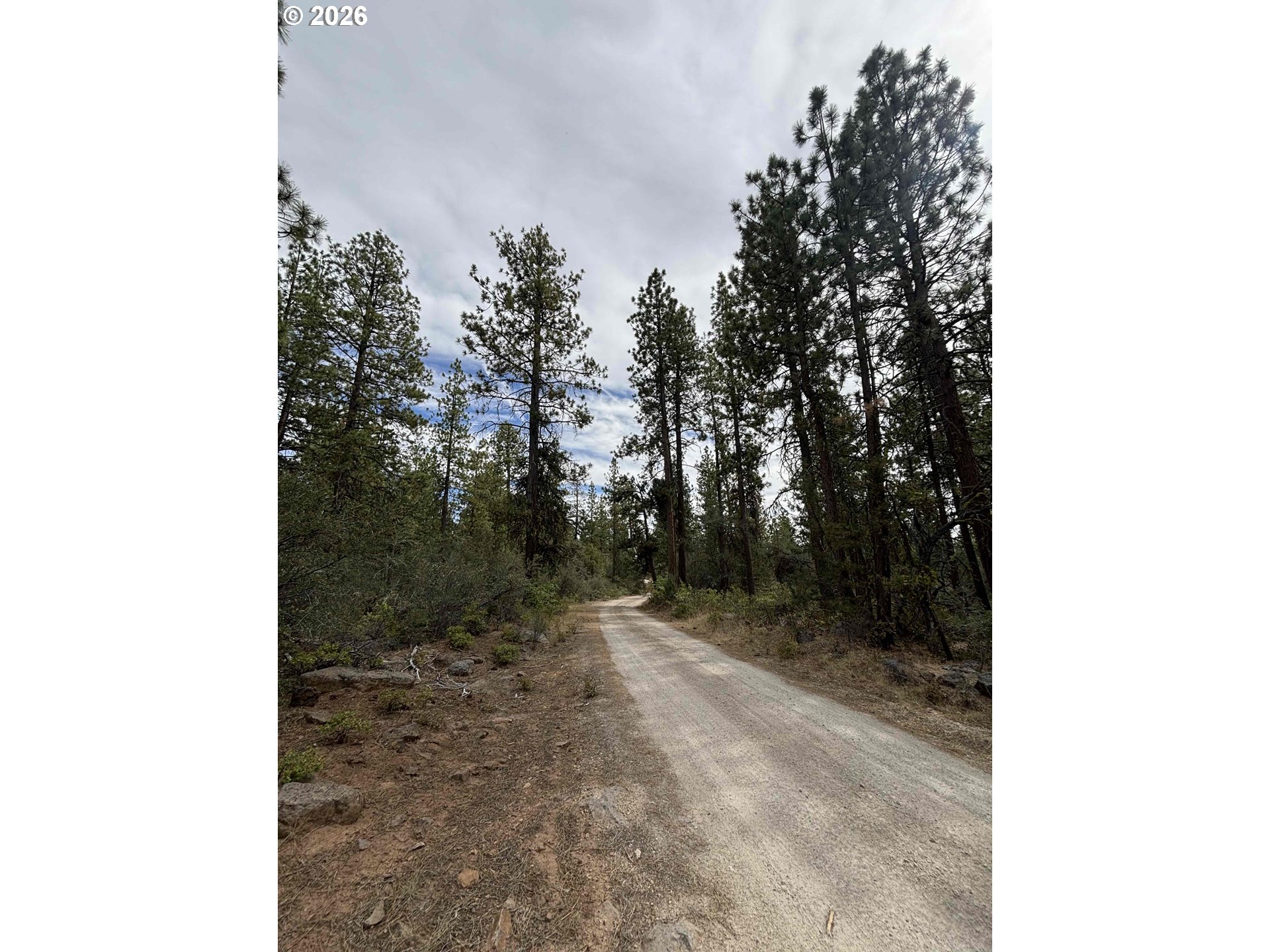 Land in Bonanza 4
