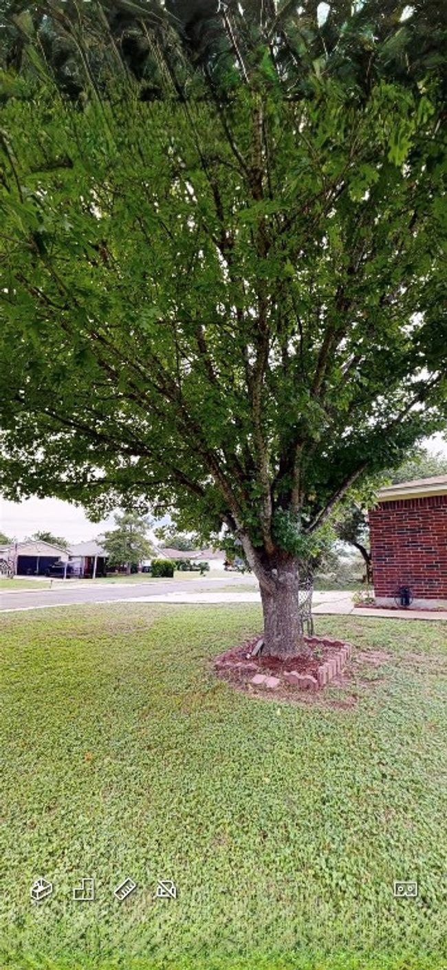 View of grassy yard | Image 7