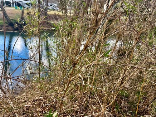 0 Butterball Blvd, Murphy, NC, 28906 | Card Image