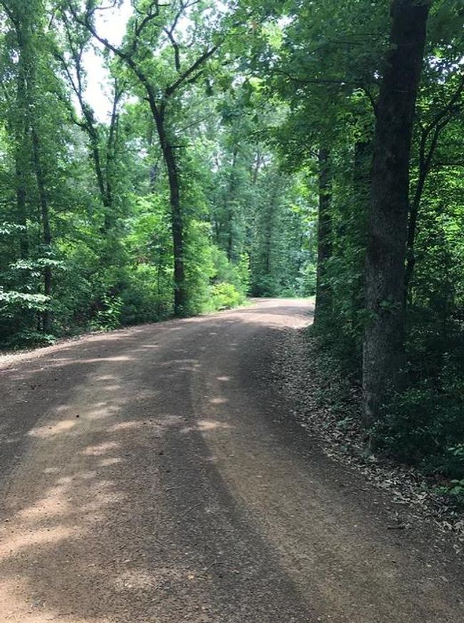 11 Lakeside Dr, Home with 0 bedrooms, 0 bathrooms and null parking in Montalba TX | Image 5