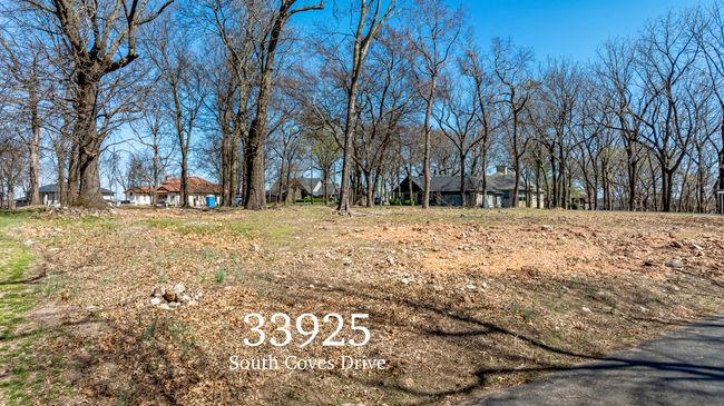 33925 South Coves Drive-11 | Image 10