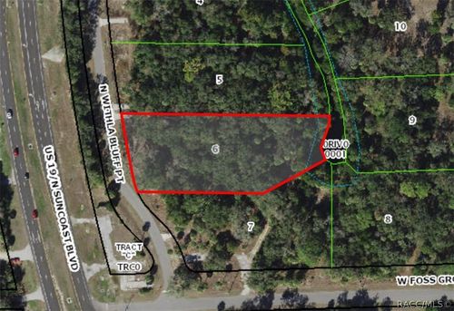 11043 N Withla Bluff Pt, INGLIS, FL, 34449 | Card Image