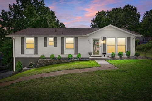 313 Hilldale Ln, Clarksville, TN, 37043-4612 | Card Image