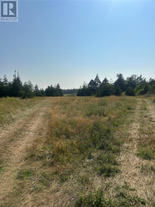 0 Beaver Pond Road Road, Roaches Line, NL, A0A1W0 | Card Image