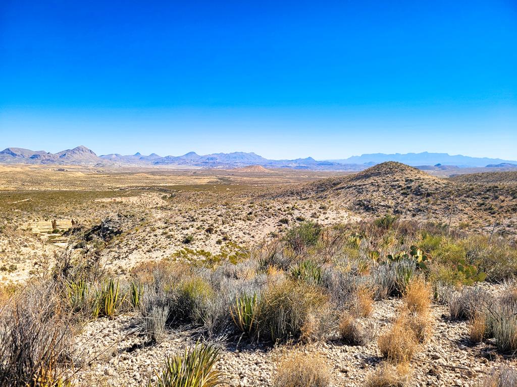 Land in Terlingua