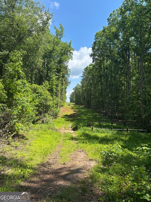 0 N Porter Rd, Shiloh, GA, 31826 | Card Image