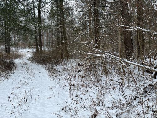 1293 E State Road 350, Osgood, IN, 47037-8967 | Card Image