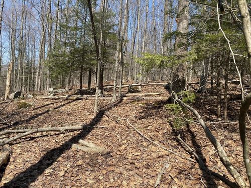 Lot 15 Colebrook River Rd, Tolland, MA, 01034-9586 | Card Image