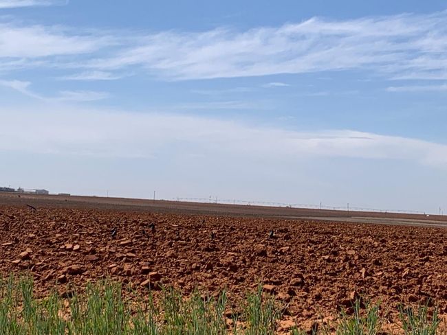 0 Dove, Home with 0 bedrooms, 0 bathrooms and null parking in Ropesville TX | Image 8