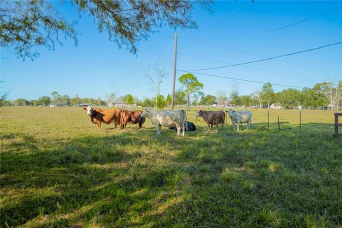 0 West South, Alvin, TX, 77511 | Card Image