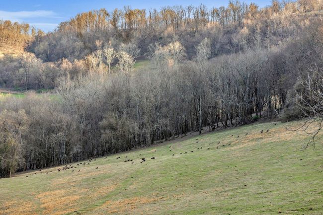 0 Fishing Ford Rd, Home with 0 bedrooms, 0 bathrooms and null parking in Belfast TN | Image 47