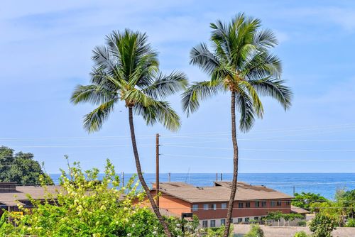 apt-301-1400 Limahana Cir, Lahaina, HI, 96761-2438 | Card Image