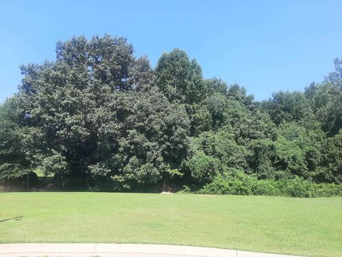 102 Westwood Cv, Dyersburg, TN, 38024 | Card Image