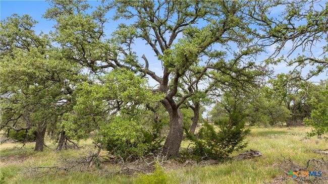 3049 Reservation Rd, Home with 0 bedrooms, 0 bathrooms and null parking in Harper TX | Image 17