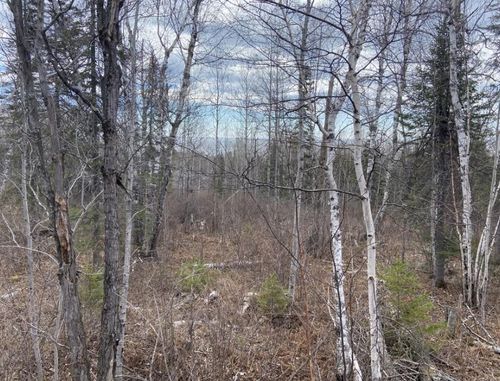 000 Aspen Ln, Silver Bay, MN, 55614 | Card Image