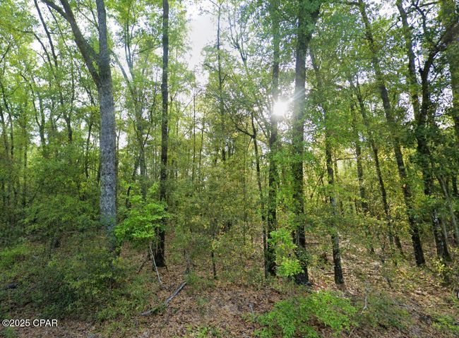 0 Messer Rd, Home with 0 bedrooms, 0 bathrooms and null parking in Sneads FL | Image 9