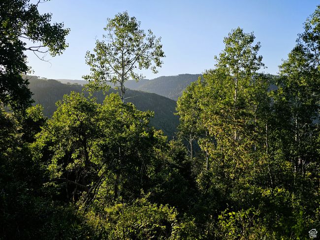 View of mountain feature featuring a forest view | Image 10
