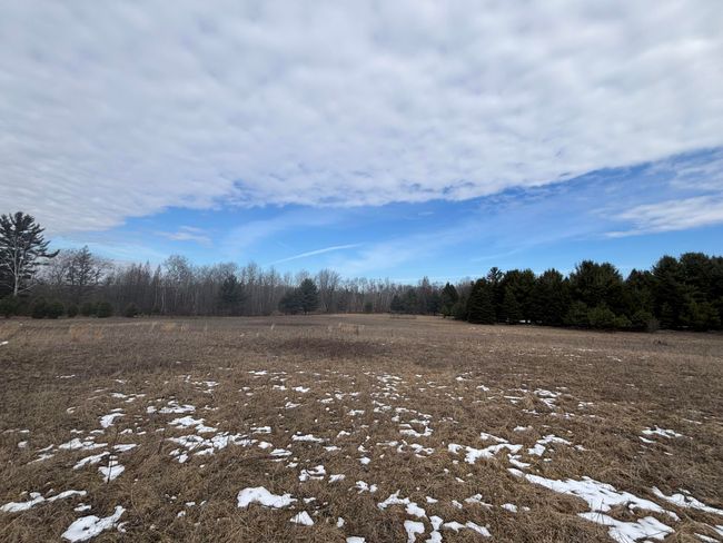 12 N Oak Ave, Home with 0 bedrooms, 0 bathrooms and null parking in Paris MI | Image 14