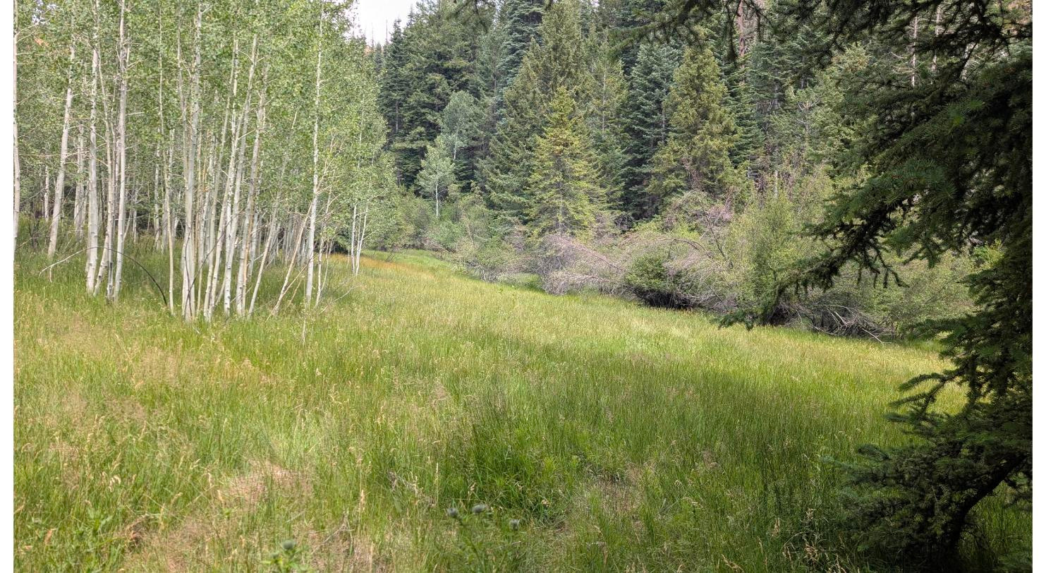 Land in Duck Creek Village 4