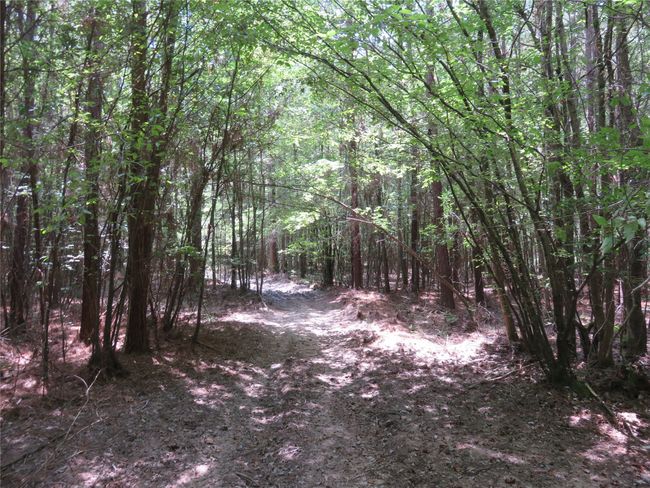 00 Highway 371, Home with 0 bedrooms, 0 bathrooms and null parking in Rosston AR | Image 14