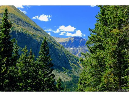 157 Goldfinch Pl, ALMA, CO, 80420 | Card Image