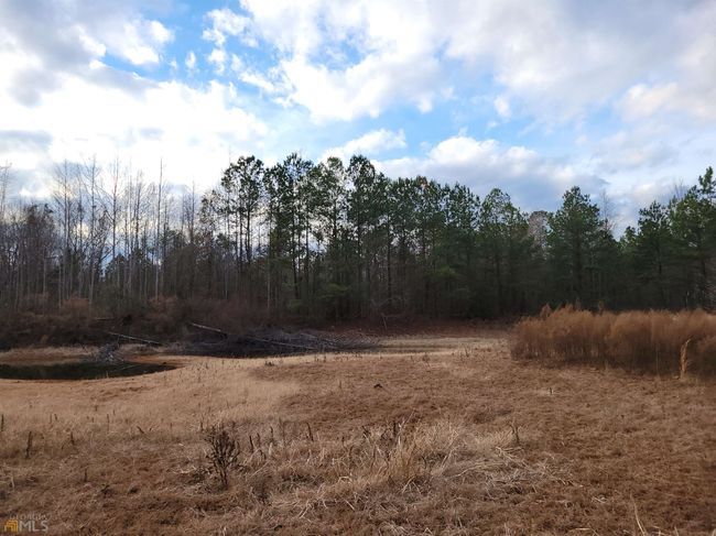 2757 Us Highway 1 N, Home with 0 bedrooms, 0 bathrooms and null parking in swainsboro GA | Image 22