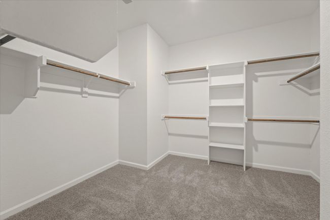 Spacious closet featuring carpet flooring | Image 11