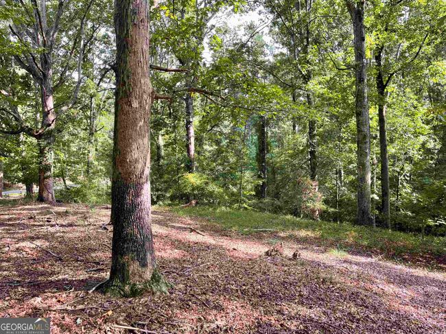 0 Peach Orchard Dr, Home with 0 bedrooms, 0 bathrooms and null parking in Alto GA | Image 7
