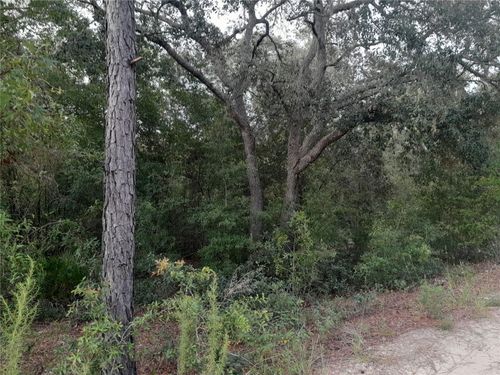 TBD Ne 87th Pl, Bronson, FL, 32621 | Card Image
