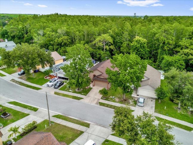 3390 Cypress Point Cir, House other with 3 bedrooms, 2 bathrooms and null parking in Saint Cloud FL | Image 22