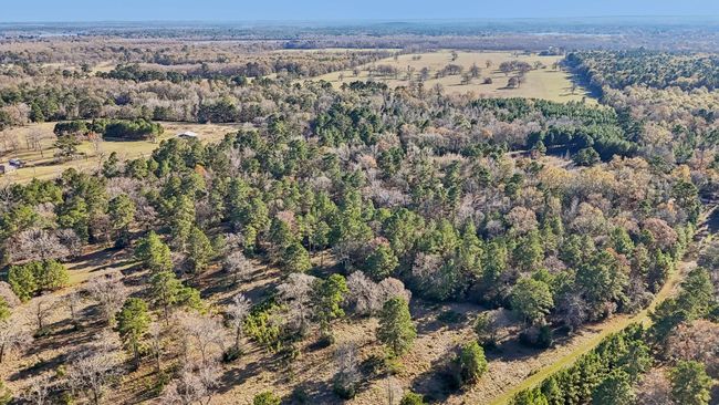 0 Bay Tree St, Home with 0 bedrooms, 0 bathrooms and null parking in Trinity TX | Image 7