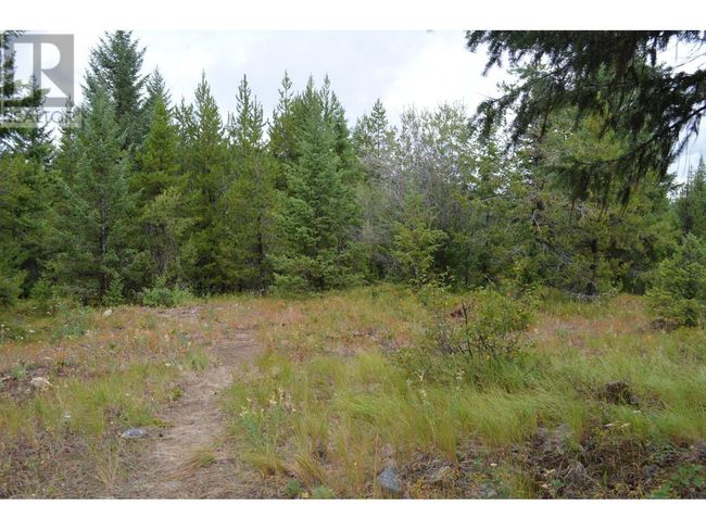 Lot 1 3 Rd St, Home with 0 bedrooms, 0 bathrooms and null parking in Kootenay Boundary BC | Image 18