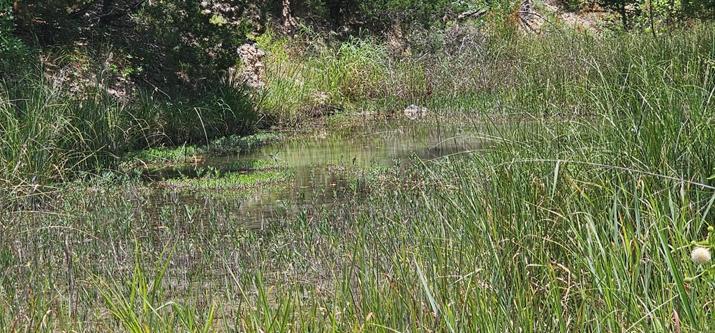 Land in Kerrville 3