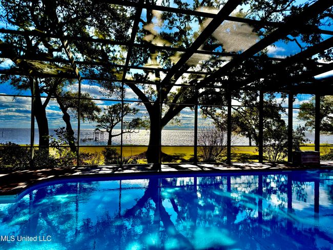 Sun trees water | Image 7