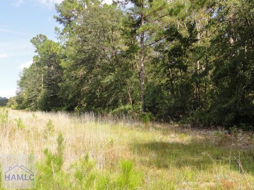 Parcel 7 Tibet Hwy Se, Ludowici, GA, 31316-7106 | Card Image