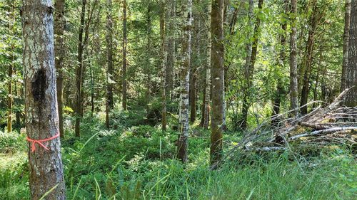 Lot 3 Cowichan Lake Rd, Duncan, BC, V9L | Card Image