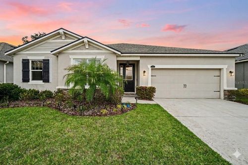 11406 Blue Woods Dr, RIVERVIEW, FL, 33569-2748 | Card Image