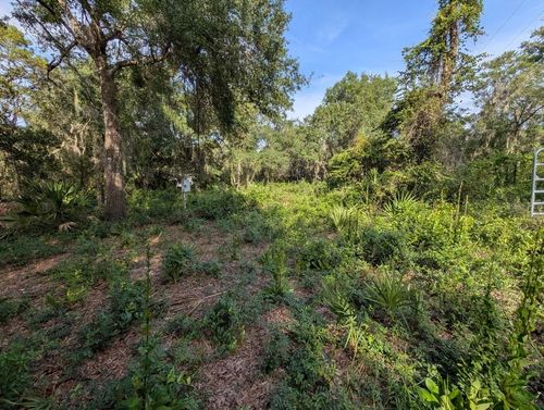 9747 Ne 302nd Ct, SALT SPRINGS, FL, 32134 | Card Image