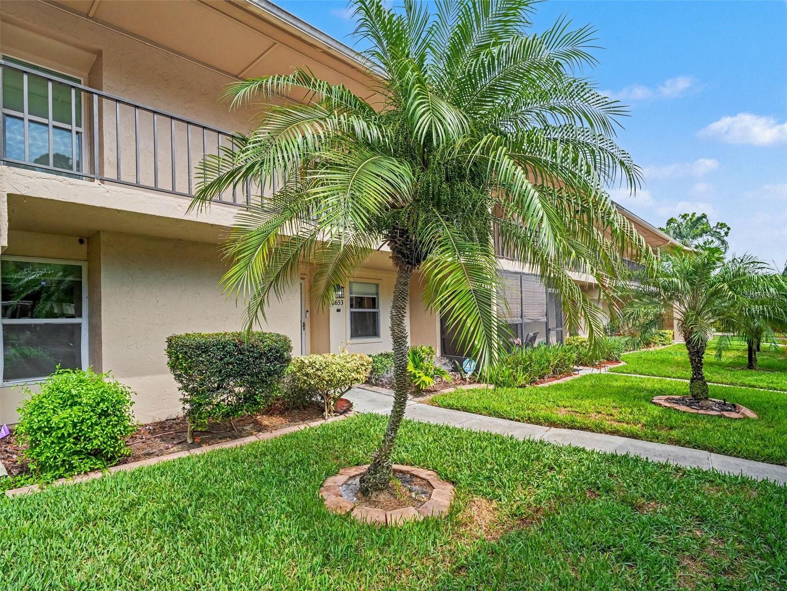 Residential in SARASOTA 2