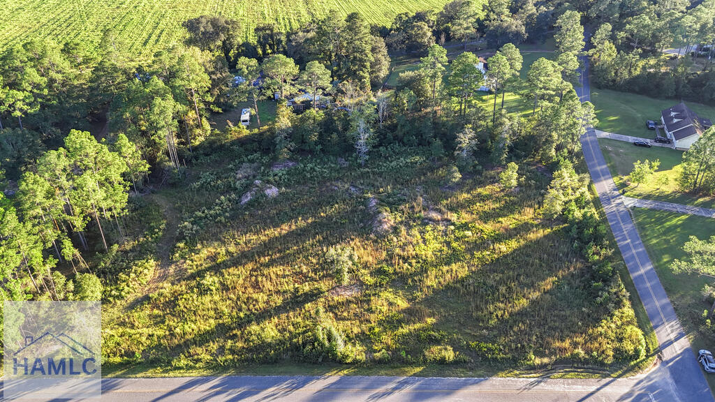 Land in Jesup 4