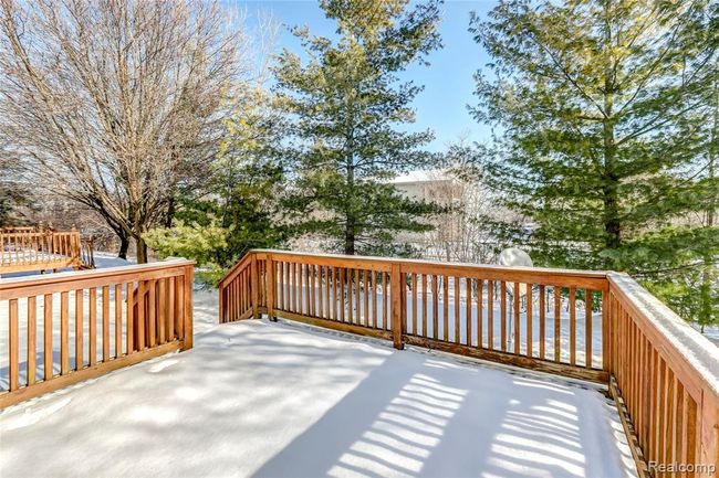 Tree lined backyard, perfect for relaxing on. | Image 23