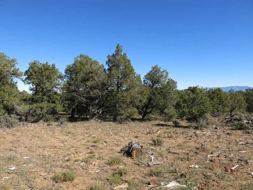41 Servilleta Lot 41, Tres Piedras, NM, 87577 | Card Image