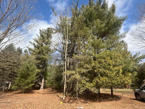 1112 2nd St, Pentwater, MI, 49449-8548 | Card Image