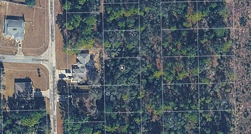 9750 N Galium Terrace, Citrus Springs, FL, 34434 | Card Image